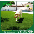 Pet Cesped Artificial Grass